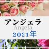 【2021年アンジェラ】バラの成長記録　写真多め！ 育て方手入れのコツ記載!