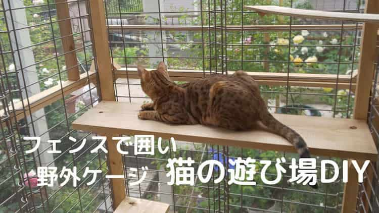 バラと猫と暮らす庭 猫の遊び場DIY！フェンスで囲い 野外ケージ 猫幸せ 