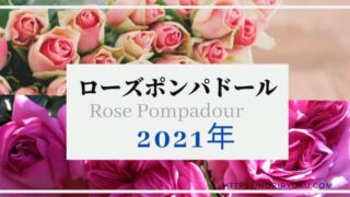 rosepo-top
