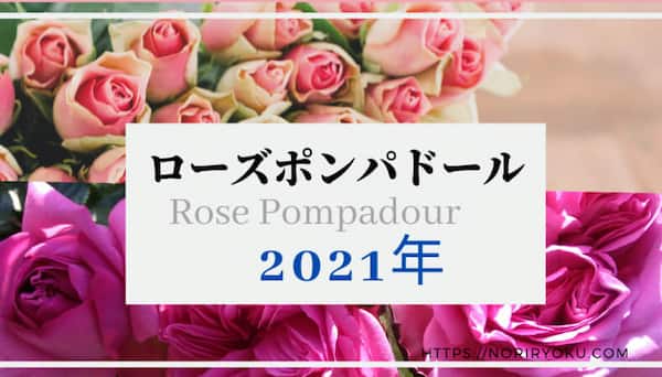21年バラ ローズポンパドール バラの成長記録 写真多め 育て方手入れのコツ記載 Cattei キャッティ 猫とバラの庭ブログ