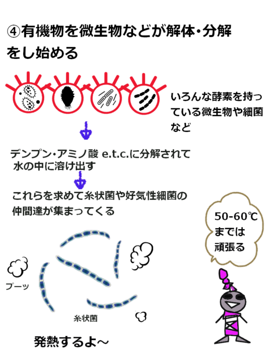 有機物の分解発酵2-1